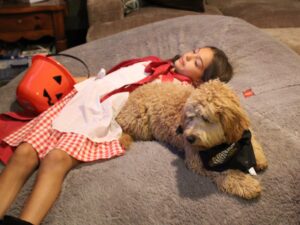Young girl laying down next to a golden doodle wearing a bandana.